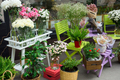 Flower shop. Flower show on the street - PhotoDune Item for Sale