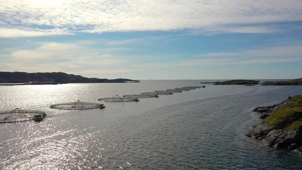 Farm Salmon Fishing in Norway