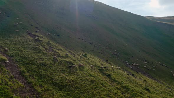 Aerial Drone View of a Couple of Travelers Man and Woman with Backpacks Walking Together 