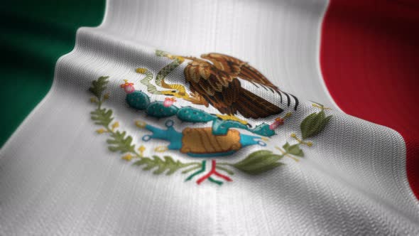 Mexico Flag Seamless Loop