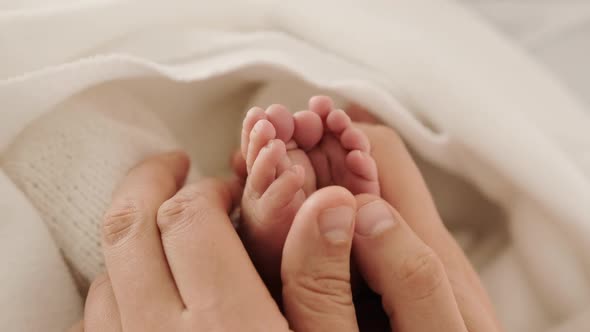 Tiny Newborn Feet in Mother Hands