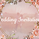 Wedding Invitation - VideoHive Item for Sale