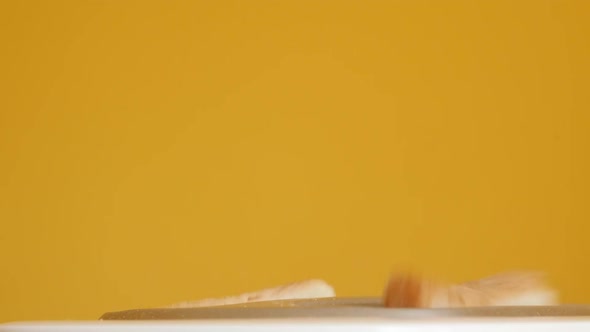 Slow motion of bread ejected from  two-slot automatic electric toaster  close-up video