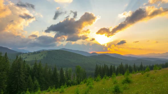 The Mountain Forest on the Background of the Sunset