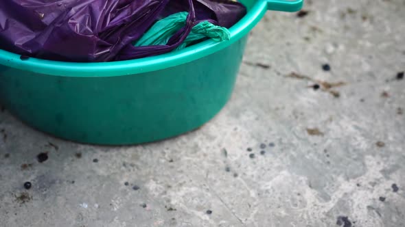 Grapetreading or Grapestomping in Traditional Winemaking