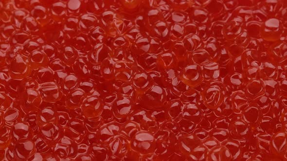 Red caviar close up, rotation. Lots of red caviar. 4K UHD video