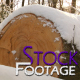"Winter Log" FullHD Stock Footage H.264 - VideoHive Item for Sale