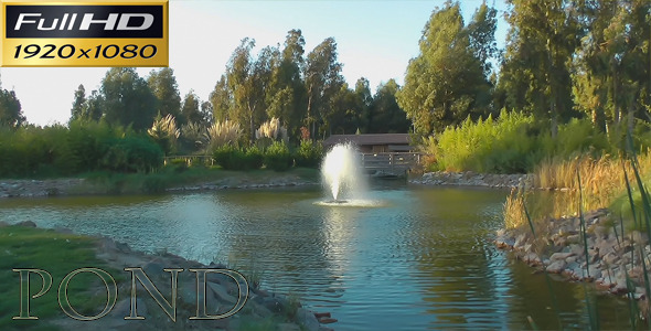 Pond - Nature - Full HD