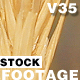 WheatStock 01 - VideoHive Item for Sale