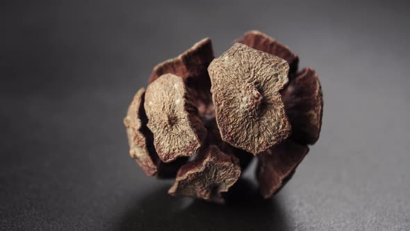 Dried cypress pine cone on a dark background 