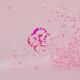 Petals Logo Reveal - VideoHive Item for Sale