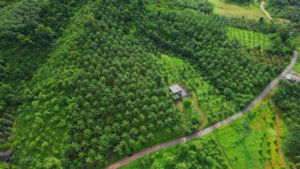 4K : Aerial view over farmland and hill farming