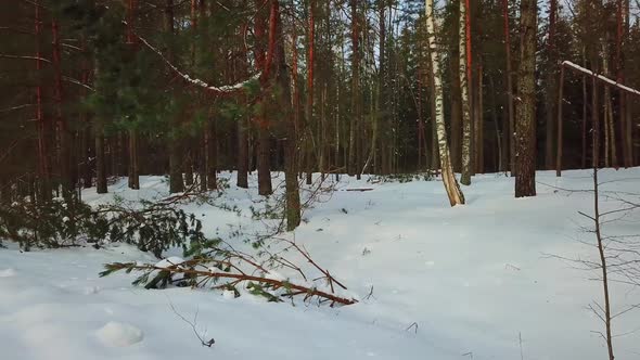 Winter Lake Streshno 