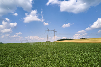 gh voltage electricity located in agricultural cornfield. Delivery of electrical energy concept.