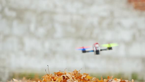 Masterly Piloting a Cinedrone, Flying Low Above the Ground, Dry Leaves Fly Away From the Wind