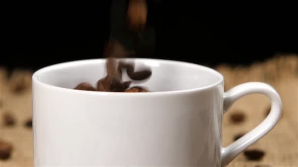 Roasted Coffee Beans Falling Into a White Cup. Slow Motion