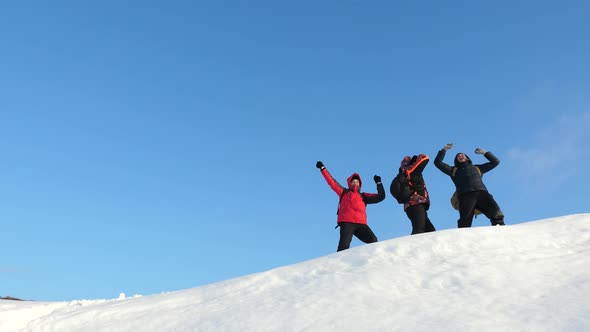Alaskan Travelers Go To the Top of a Snowy Hill and Rejoice in Victory Against a Winter Sunset. Team