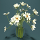 Camomile Bouquet - 3DOcean Item for Sale