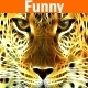 Funny Kids - AudioJungle Item for Sale