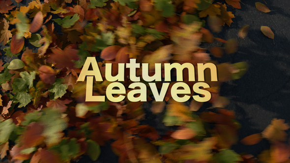 Autumn Leaves