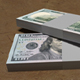 New 100 dollar banknotes pack - 3DOcean Item for Sale