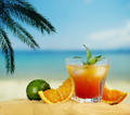 Orange cocktail and citrus fruit on tropical sandy beach. - PhotoDune Item for Sale