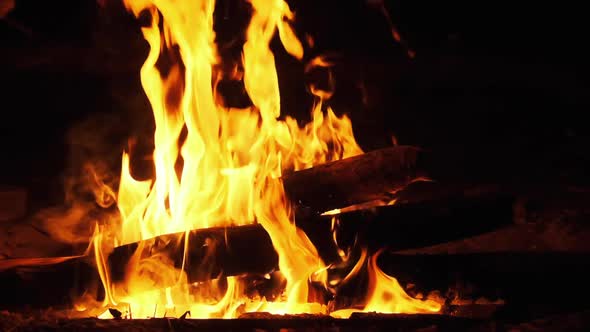 Bonfire Burning at Night in Slow Motion 240 Fps. Flames of Campfire at Nature.