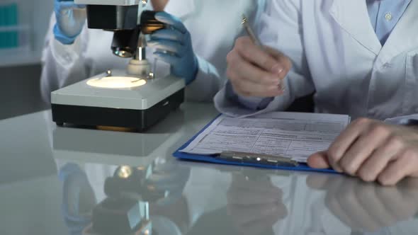 Lab Worker Filling Paper Forms, His Assistant Viewing Samples Under Microscope