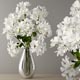 Geranium bouquet - 3DOcean Item for Sale