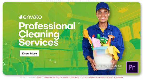 Professional Cleaning Services Promo