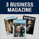 Business Magazine Bundle - GraphicRiver Item for Sale
