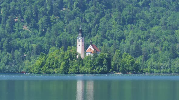 Church of the Assumption of Mary at Lake Bled in Slovenia. Steady shot of island white forest in bac