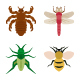 Insects - GraphicRiver Item for Sale
