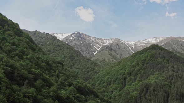 Spring in the Mountains of Bulgaria