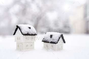 Two 3D model house on snow natural background for winter season