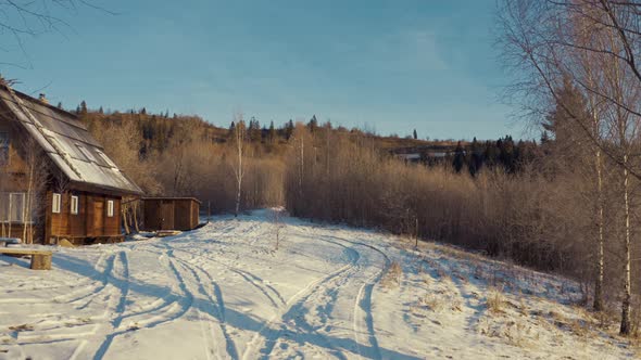 A Beautiful Wooden Cottage in the Middle of a Dark Forest