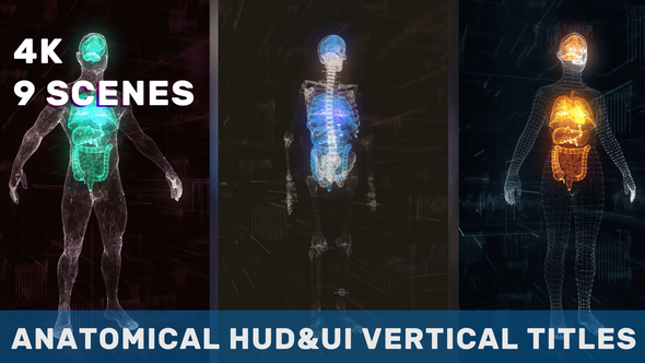 Anatomical Vertical HUD UI Titles