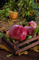 wooden basket with pomegranates - PhotoDune Item for Sale