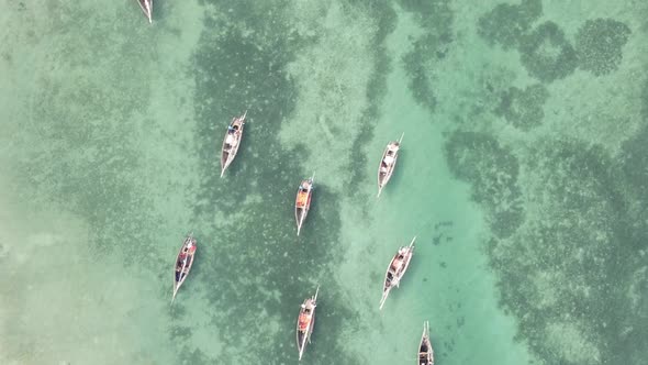 Tanzania Vertical Video  Boat Boats in the Ocean Near the Coast of Zanzibar Aerial View