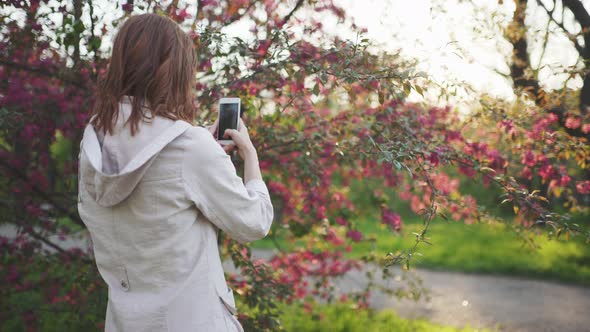 Young Attractive Redhaired Woman Taking Photos of Spring Flowers of Cherry or Sakura Blossoms on