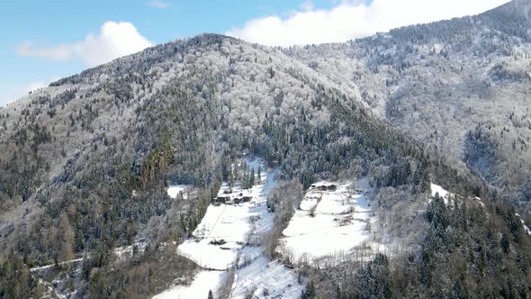 Snow Capped Mountains And Forests