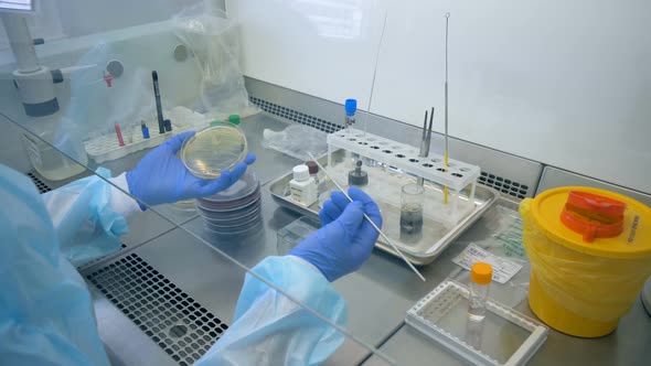 Lab Worker Is Burning a Metal Stick Before Using It for Inspecting a Sample