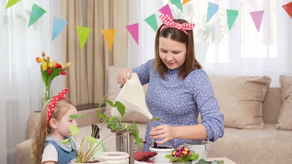 a Mother and Daughter Pour Water Into Glass Flasks for Germination of Plants