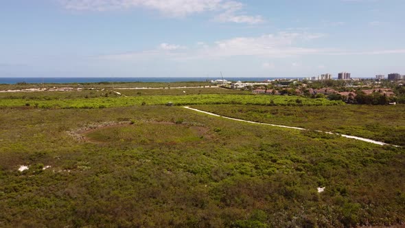 Juno Dunes Preserve Florida