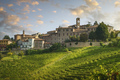 Neive village skyline and Langhe vineyards, Piedmont, Italy Europe. - PhotoDune Item for Sale