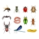 Insects - GraphicRiver Item for Sale