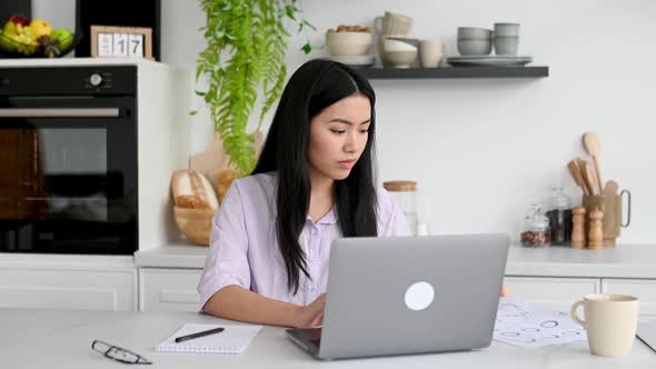 Focused Asian Smart Pretty Girl Freelancer Designer Uses Laptop to Work From Home Sits in the