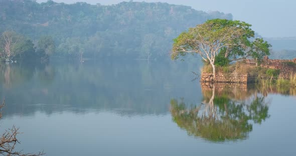 Serene Morning on Lake Padma Talao. Birds Flying, Crocodile Floating. Tree and Ruins Are Reflected