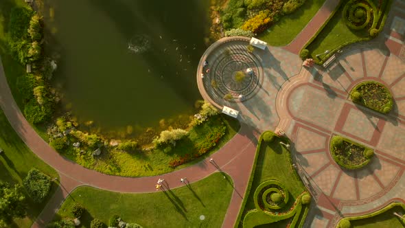 View From Above on a Garden Park Pond