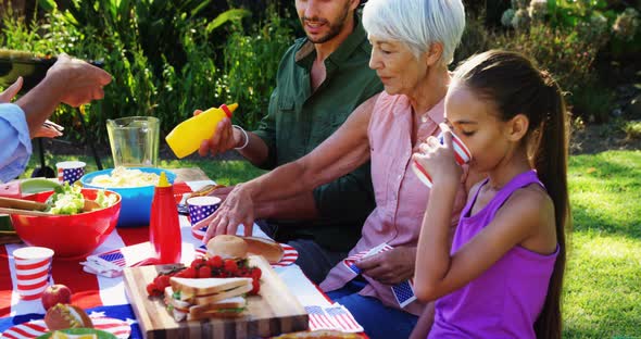 Family having meal in park 4k